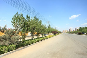 兴文西道道路绿化工程